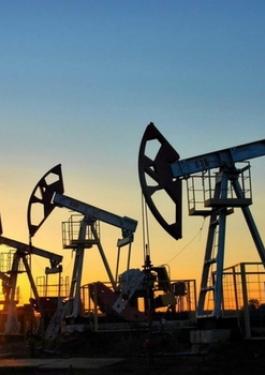 Инспекции нефти и нефтепродуктов